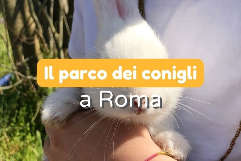 il parco dei conigli a roma