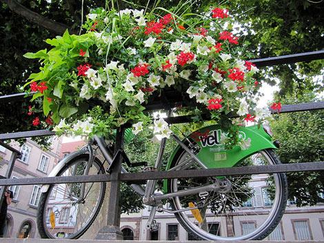 Bicicletta a strasburgo