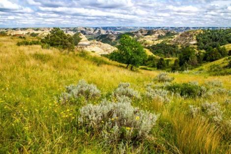 Theodore Roosevelt NP - Noth Unit (North Dakota)