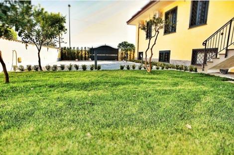 b&b vicino aeroporto fiumicino
