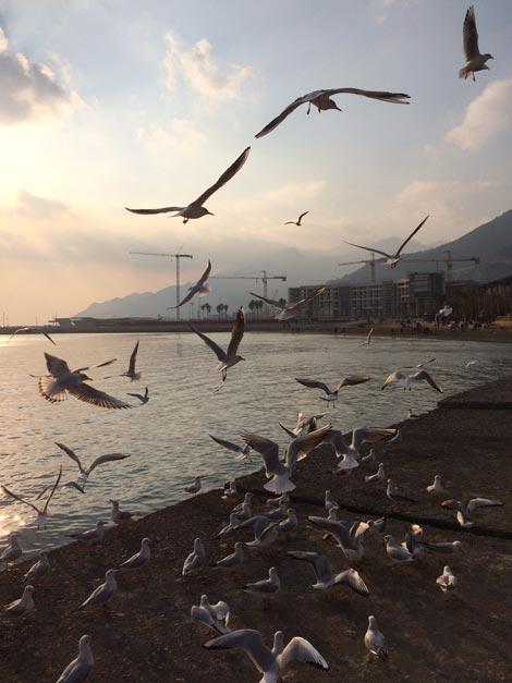 Il lungomare di Salerno