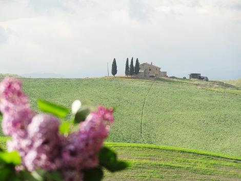 agriturismo in toscana val d'orcia
