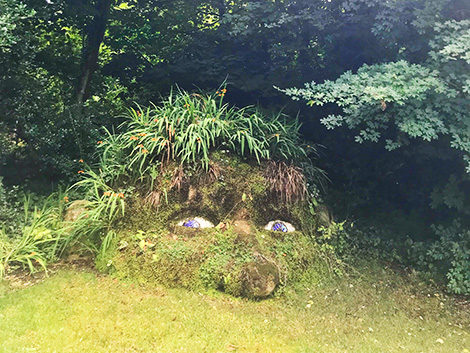 The lost Gardens of Heligan