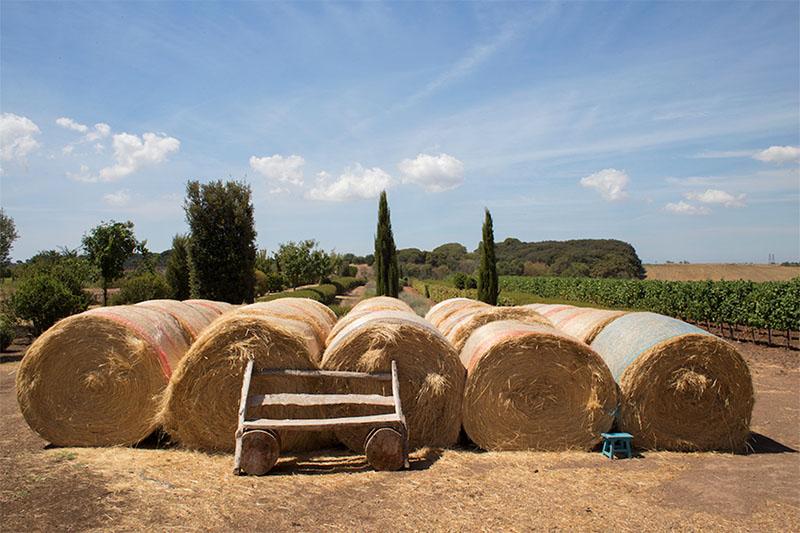 fattoria di fiorano