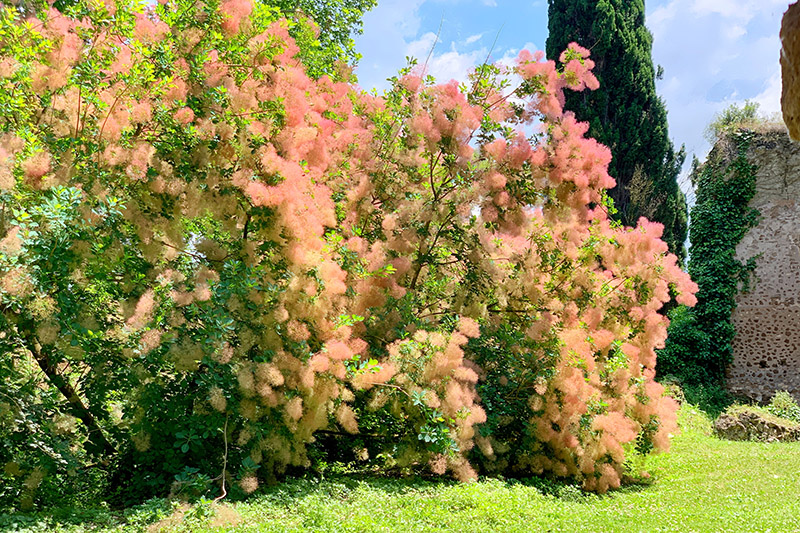 Giardino di Ninfa con i bambini