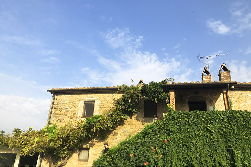 Agriturismo Fattoria in Umbria, La casa di Campagna