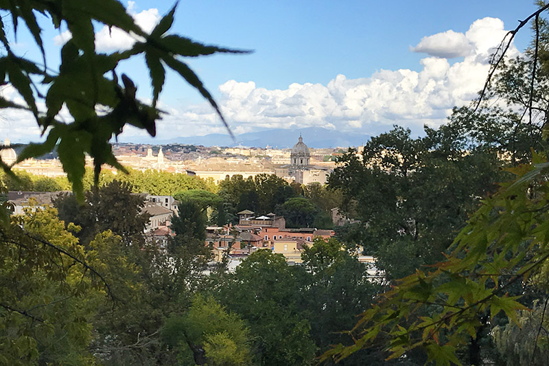 La vista all'Orto Botanico di Roma