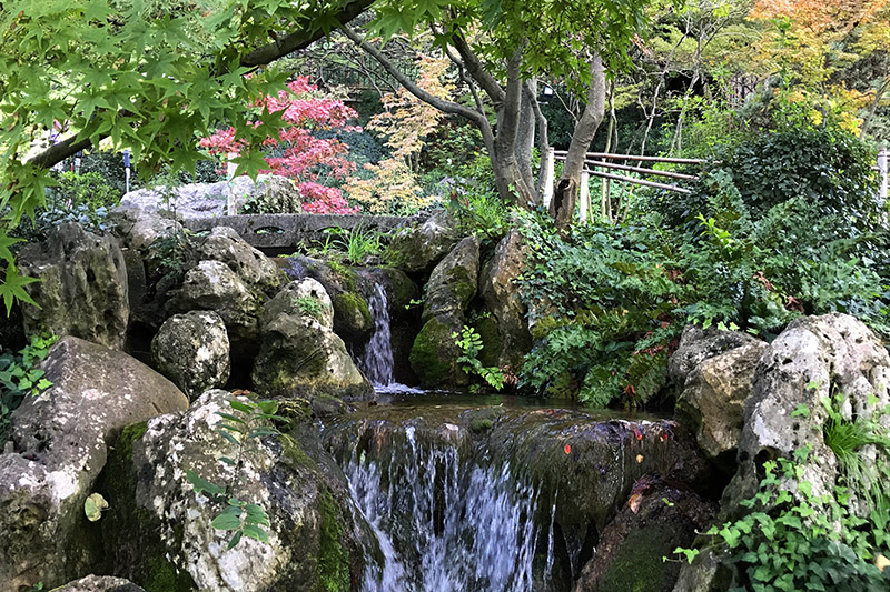 Il Giardino giapponese all'Orto Botanico di Roma