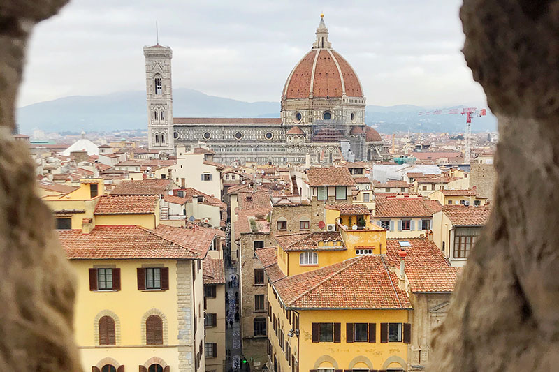 Firenze dall'alto