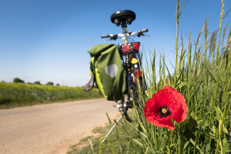 bibione in bicicletta
