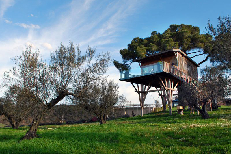 Casa sull'Albero La Piantata nel Lazio