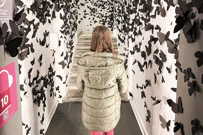 Bianca in mezzo a mille farfalle - Mostra Crazy