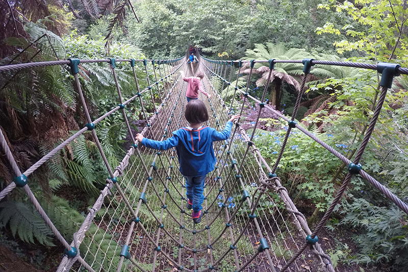 Cornovaglia: The lost Gardens of Heligan