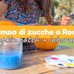 campo di zucche a roma