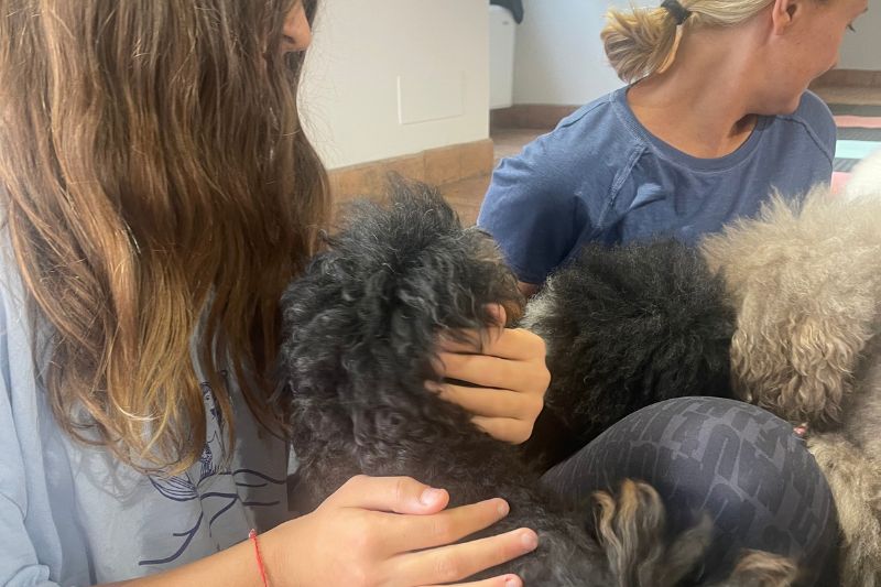 Puppy Yoga a Roma